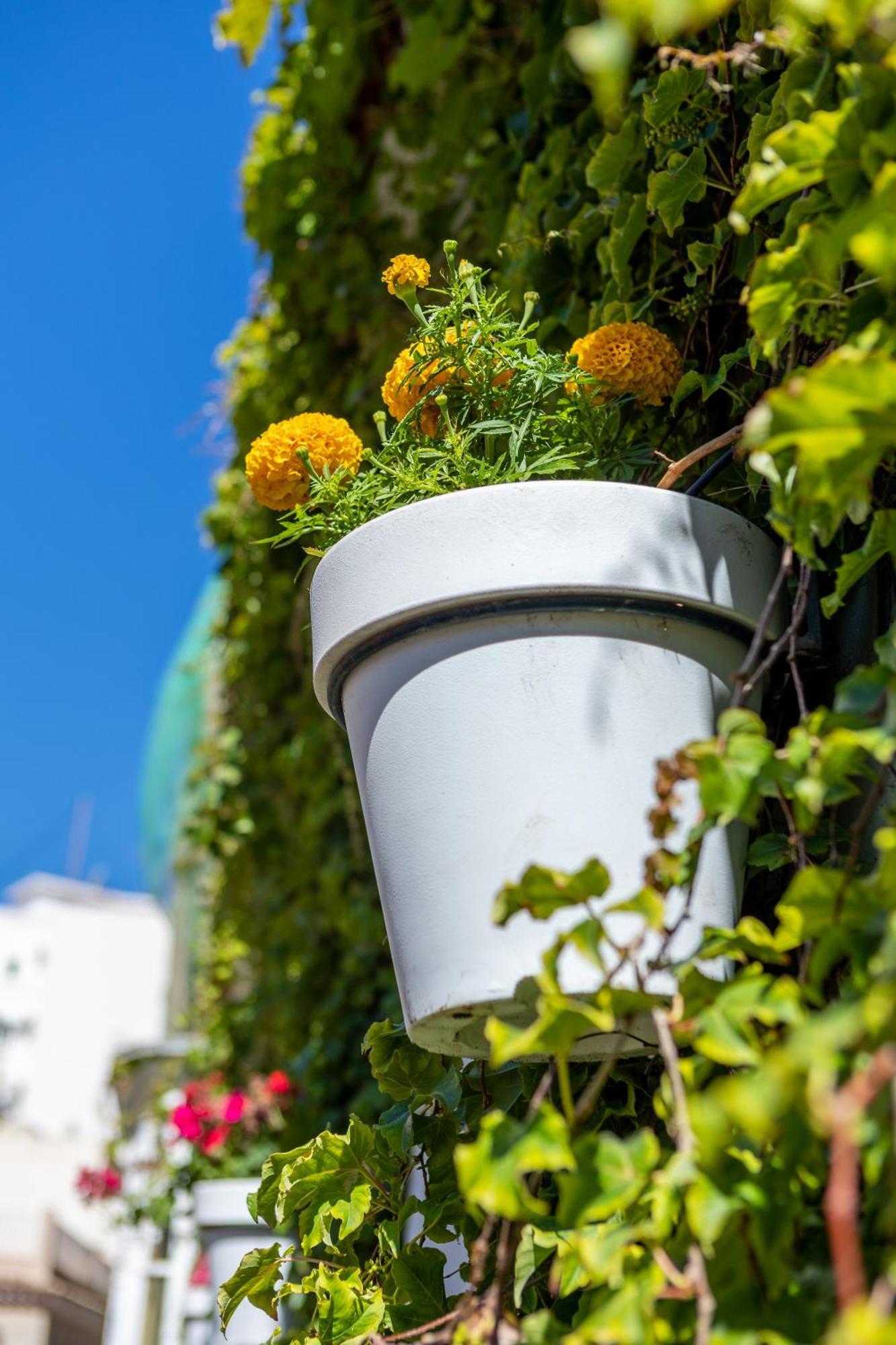 La Casa De Las Flores Cartagena Eksteriør bilde